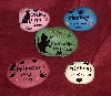 rainbow rocks