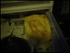 Albino female