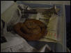 Hogg Island Boa