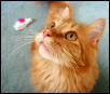The face that I love!!!