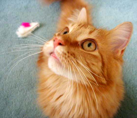 The face that I love!!!