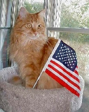 All-American Pride