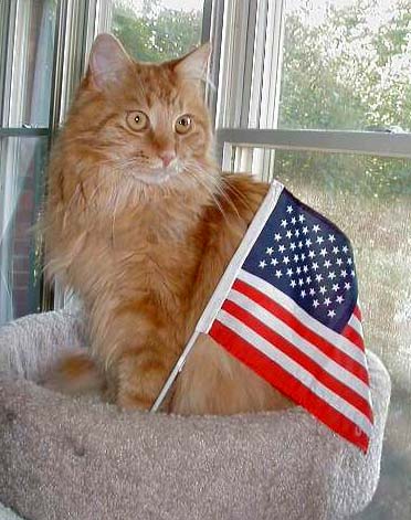 All-American Pride