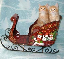 Oh what fun it is to ride...