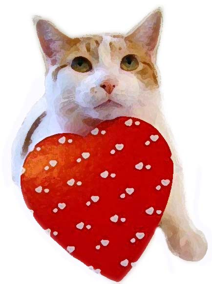 Sunny Funny Valentine