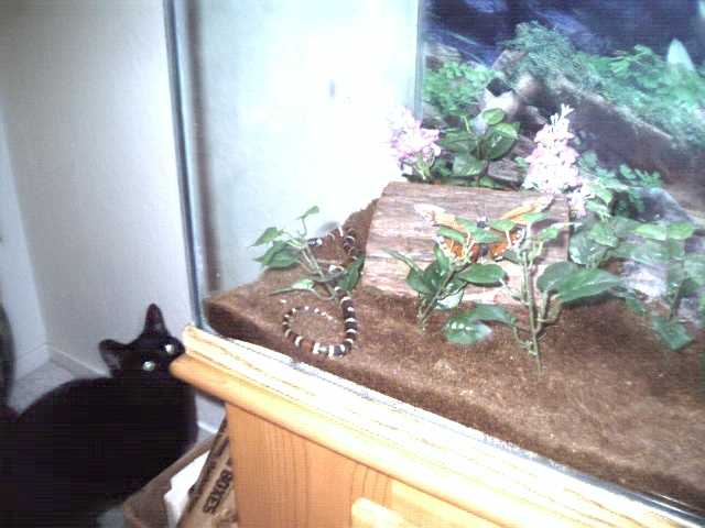 New home