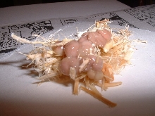 Corn snake fecal