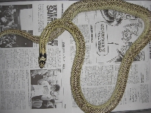 desert kingsnake 2