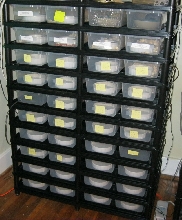 Hatchling Rack
