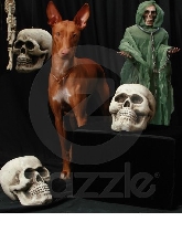 Kebi and the Ghouls!