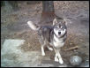 Nunook posing for the camera