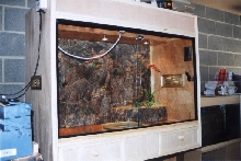 Display viv. under construction
