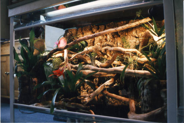 Hydroponic vivarium