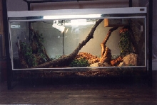 Glass vivarium