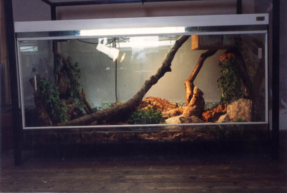 Glass vivarium