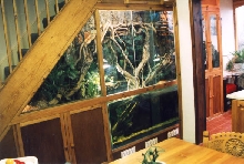 Hydroponic Paledarium