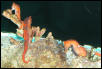 Saltwater Photos
