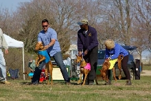 GONE, Coursing, April 19/20