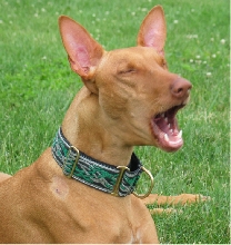 Siren the mouthpiece