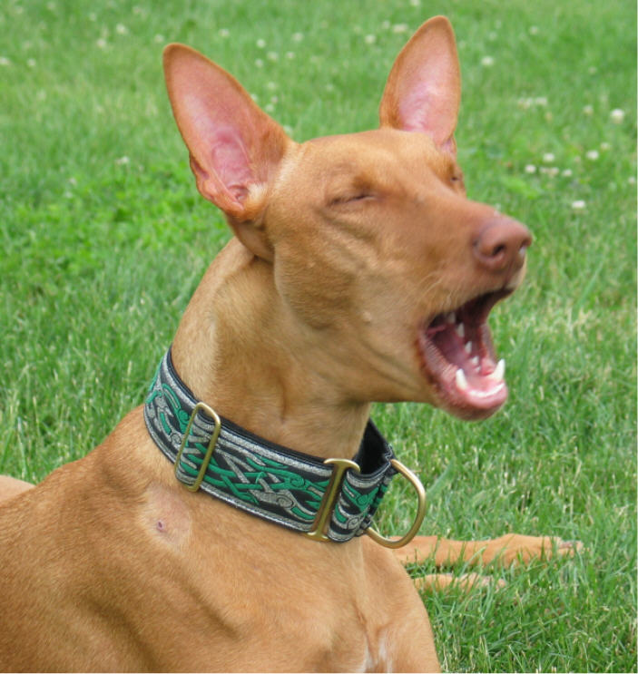 Siren the mouthpiece
