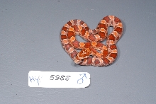 My hypo baby boy
