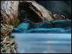 Female BAth