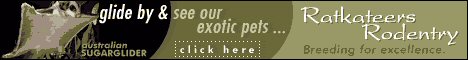 Banner for website