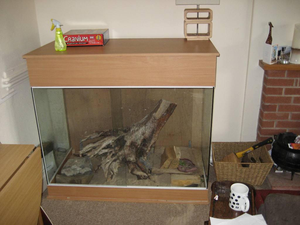 New viv1