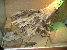slab laying cave1