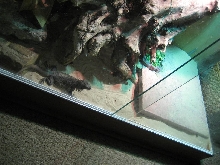 slab laying cave2