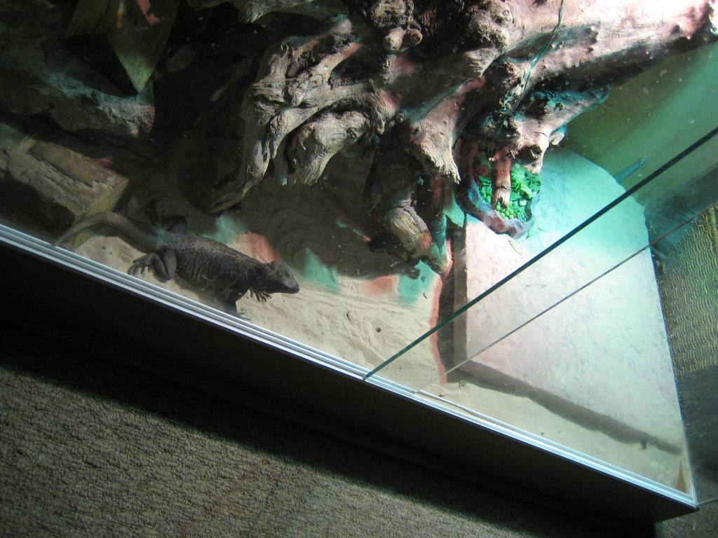 slab laying cave2