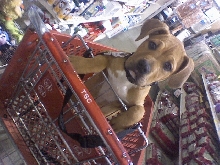 Kera as a WUP :) at TSC :)