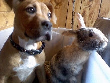 Kera and Callie