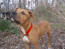Kera at 6 months