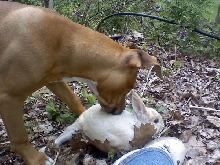 Kera and Avalanche :)