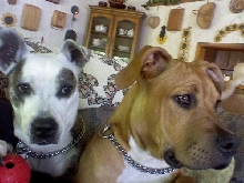 Kera and LoLa