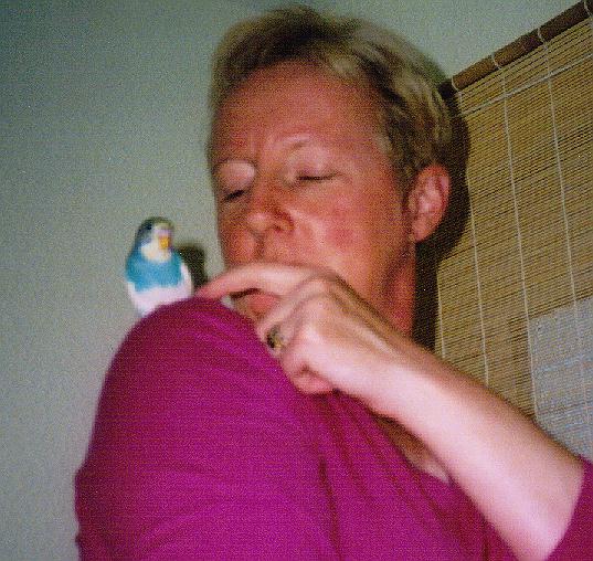 Lindas sweet bertie