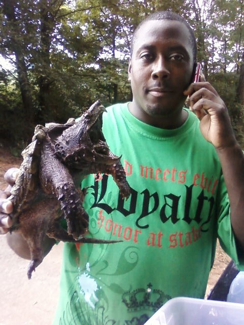 LIL MAN (ALLIGATOR SNAPPING TURTLE) 8 INCHES