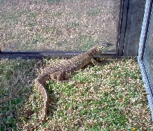 Argus monitor in outdoors enclosure