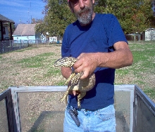 Bruce holding Argus