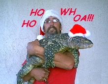 Merry Christmas from Nessie