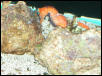 Saltwater Photos