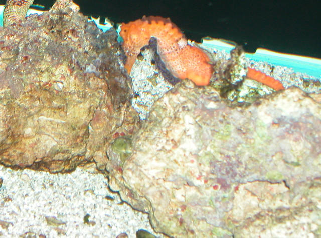 Saltwater Photos