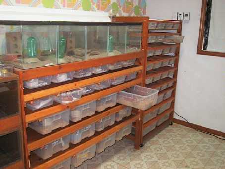 Sliding rack systems