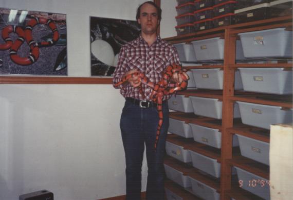 Racks for colubrids