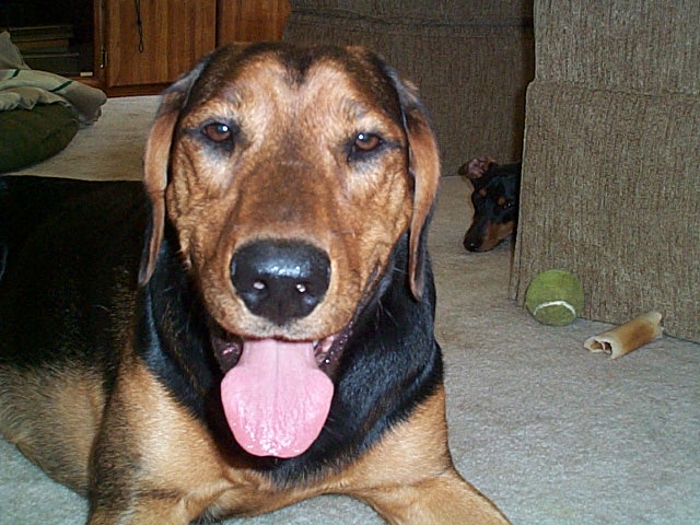Keelo & Scooby
