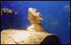 Dragon 1