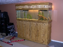 My new tank, stand and canopy...