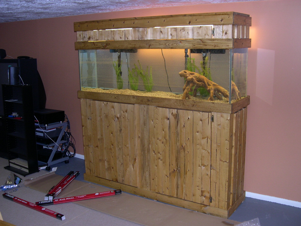 My new tank, stand and canopy...