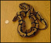 cb ball python coiled